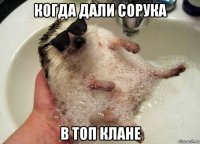 когда дали сорука в топ клане
