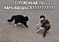 сереженька, ты нарываешься?????????? 