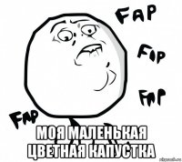  моя маленькая цветная капустка