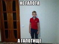 не гапота а гапотище