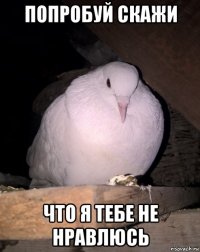 попробуй скажи что я тебе не нравлюсь