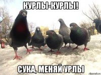 курлы-курлы! сука, меняй урлы