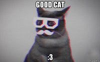 good cat :з