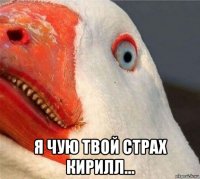  я чую твой страх кирилл...