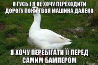 я гусь і я не хочу переходити дорогу поки твоя машина далеко я хочу перебігати її перед самим бампером