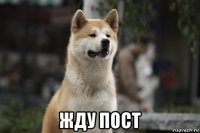  жду пост