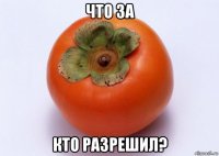 что за кто разрешил?