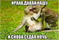 ирака,давай нашу и снова седая ночь.....