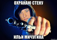 охранаю стену ильи мичугина