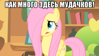 как много здесь мудачков! 