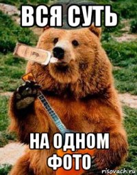 вся суть на одном фото