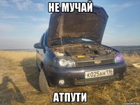 не мучай атпути