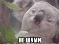  не шуми