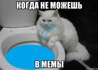 когда не можешь в мемы