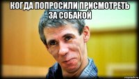 когда попросили присмотреть за собакой 