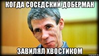 когда соседский доберман завилял хвостиком