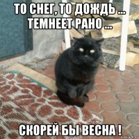 то снег, то дождь ... темнеет рано ... скорей бы весна !
