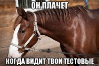 он плачет когда видит твои тестовые