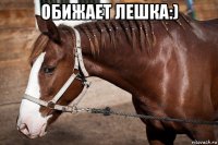обижает лешка:) 