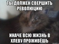 ты должен свершить революцию иначе всю жизнь в хлеву проживёшь