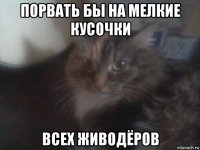 порвать бы на мелкие кусочки всех живодёров