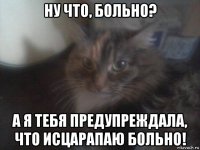 ну что, больно? а я тебя предупреждала, что исцарапаю больно!