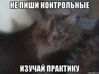 не пиши контрольные изучай практику