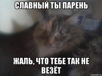 славный ты парень жаль, что тебе так не везёт