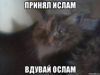 принял ислам вдувай ослам