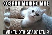 хозяин можно мне купить эти браслеты?