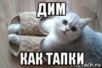 дим как тапки