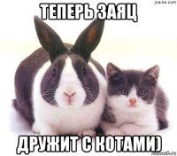 теперь заяц дружит с котами)