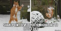  sharepoint developer is migrating to office 365