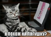  я похож на лягушку?