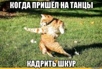 когда пришёл на танцы кадрить шкур