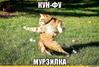 кун-фу мурзилка