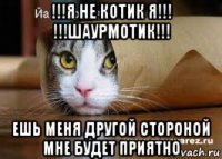 !!!я не котик я!!! !!!шаурмотик!!! ешь меня другой стороной мне будет приятно