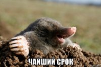  чайший срок