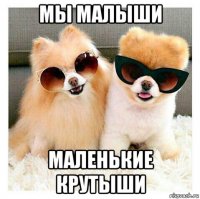 мы малыши маленькие крутыши