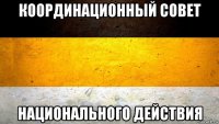 координационный совет национального действия