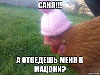 саня!!! а отведешь меня в мацони?