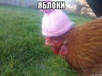 яблоки 