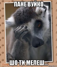 пане вуйко шо ти мелеш...