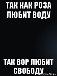так как роза любит воду так вор любит свободу