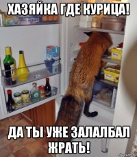 хазяйка где курица! да ты уже залалбал жрать!