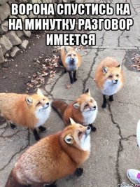 ворона спустись ка на минутку разговор имеется 