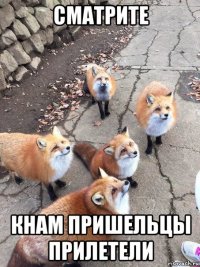 сматрите кнам пришельцы прилетели