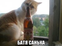  батя санька