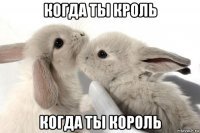 когда ты кроль когда ты король