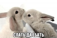  спать да ебать
